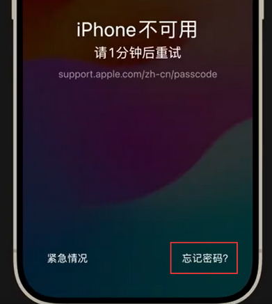 宜阳苹果手机密码维修分享iPhone忘记了刚设置的密码 