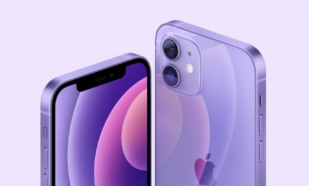 宜阳苹果手机维修分享紫色版iPhone 12有什么技术亮点 