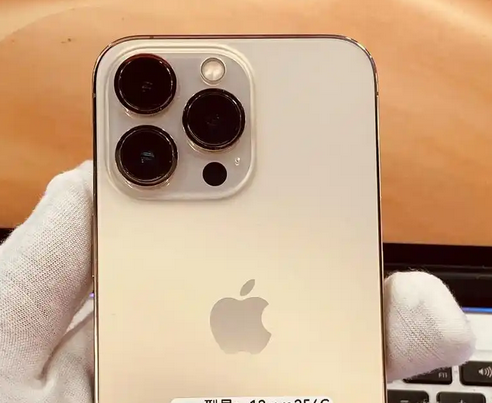 宜阳苹果13维修中心分享如何在iPhone13上设置动态壁纸 宜阳苹果13维修中心分享如何在iPhone13上设置动态壁纸